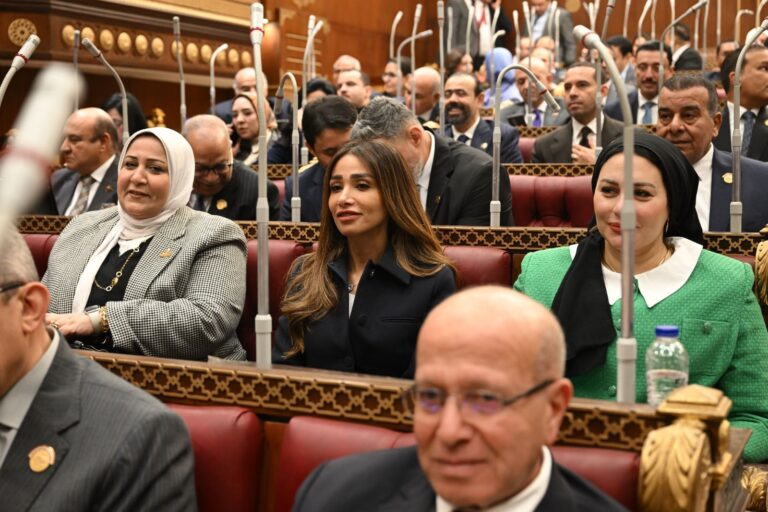النائبة إنجي نصيف