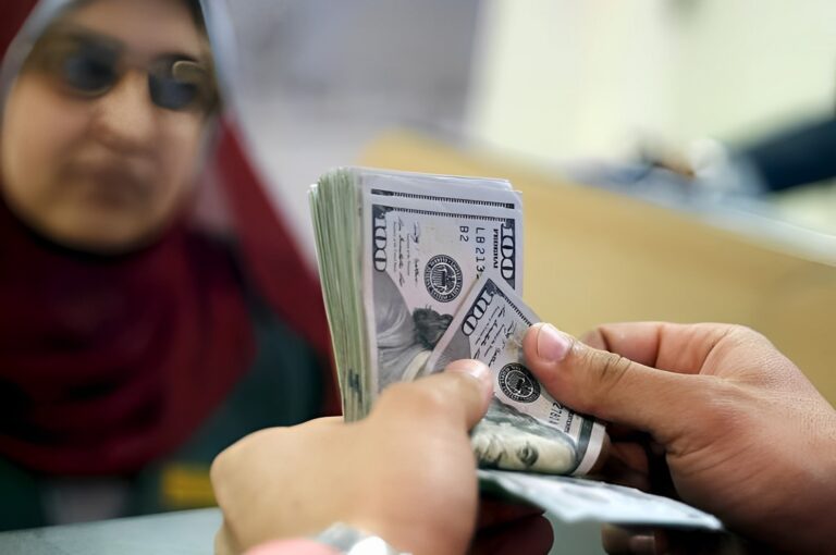 تحويلات المصرين بالخارج